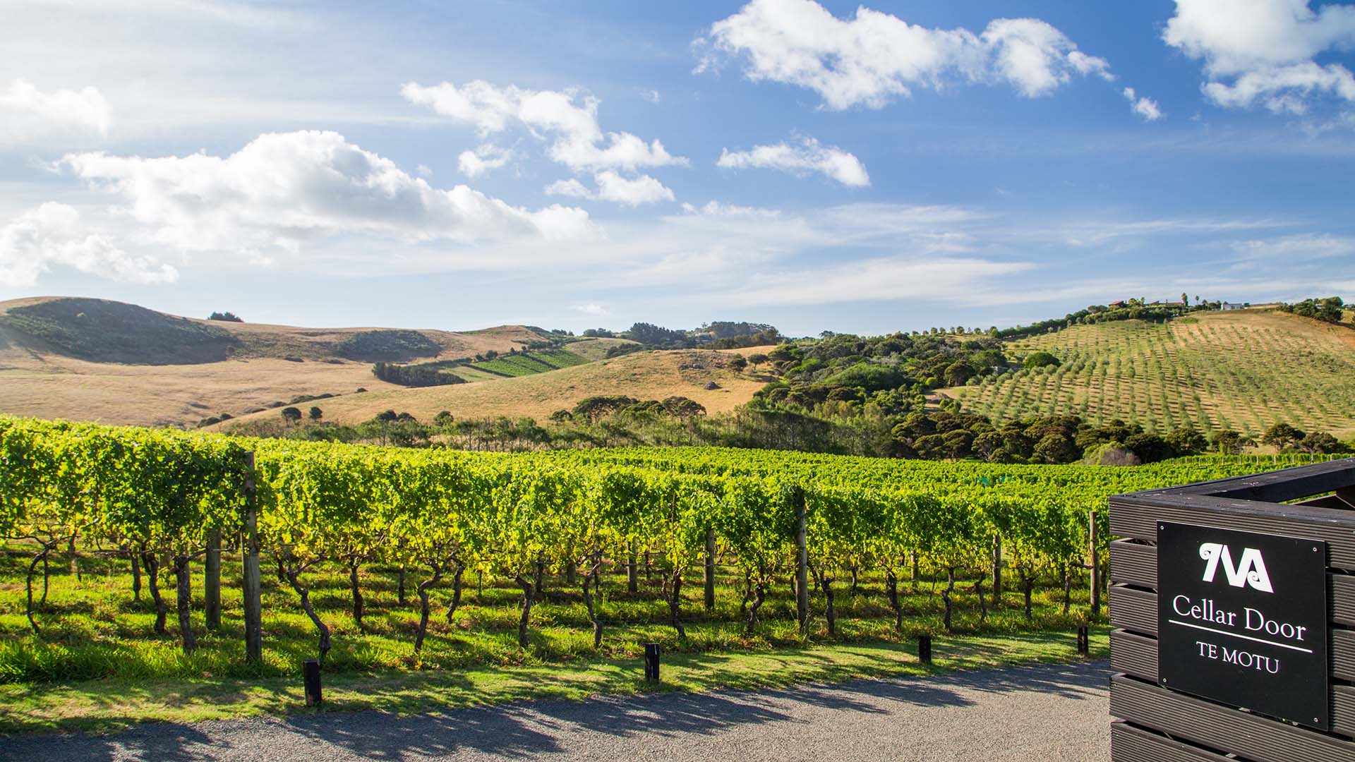 Te Motu Vineyard Waiheke