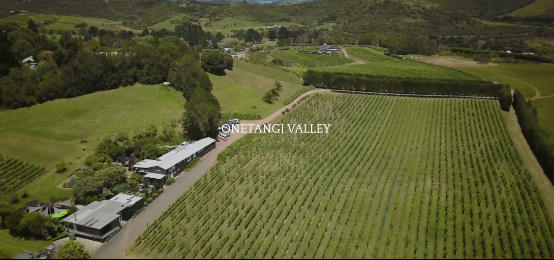 Load video: te motu vineyard